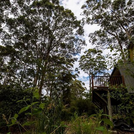 Green Leaves Cabin 덴마크 외부 사진